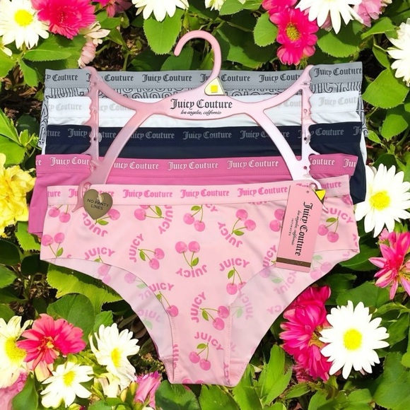 Juicy Couture Other - Juicy Couture Bikini Brief Pink, Black, White, Gray Logo 5 Panties Set Size XL